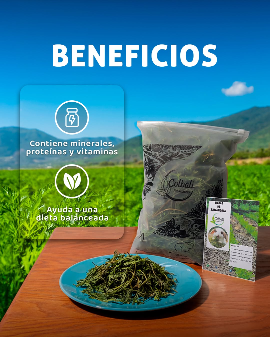Hojas de Zanahoria